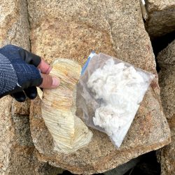 清掃活動：今週も落ちギス狙って早朝ちょい投…